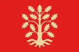 Flagget til Agder Flagget til Agder